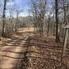 Trail crosses FR 121 at ridge top of Back Creek Mtn.