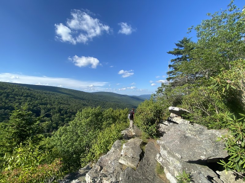 Bedrock outcropping overlooking a tree-filled valley.