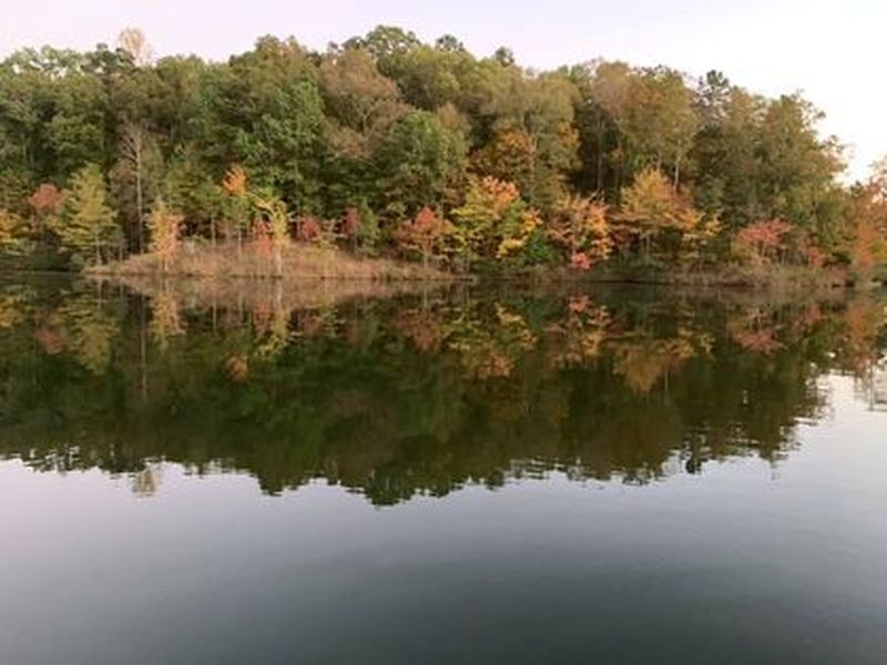 View of Travis McNatt Lake