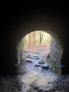 Old Mine--beginning of the trail. Not far from trailhead.