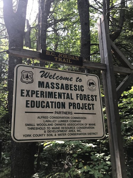 Massabesic Experimental Forest