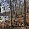 Trail by the water