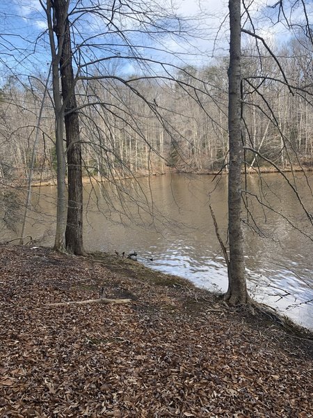 Trail by the water