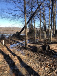 Muddy trail by the water.