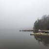 Misty morning by the lake.