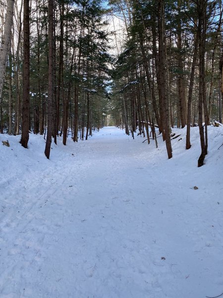 Lincoln Woods...Walking in a Winter Wonderland.