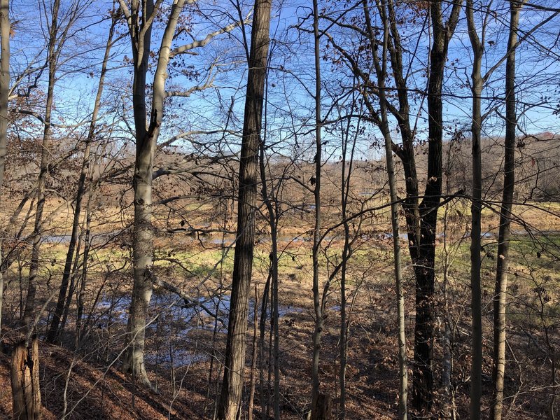 Looking off the trail over the water.