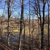 Looking off the trail over the water.