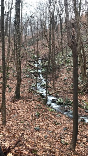 Hemlock Brook after the rain