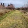 Mostly gravel but some grass areas, restrooms located in a few areas of the trail.