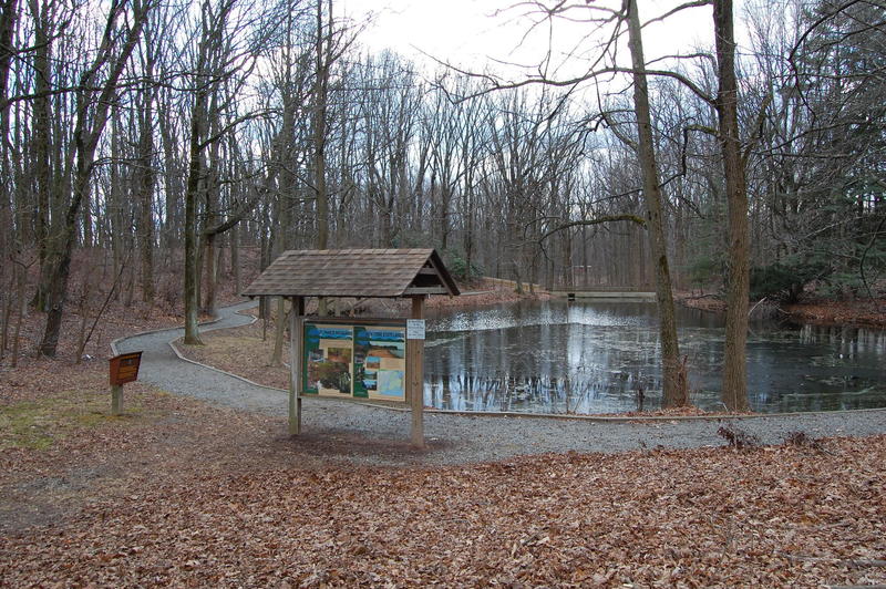 Priory Pond