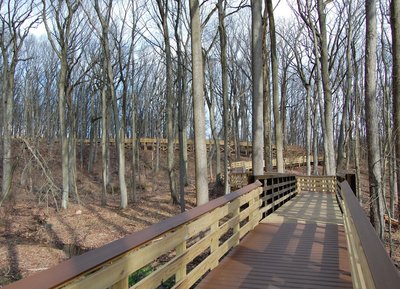 Recently complete elevated boardwalk (Oct 2020).