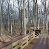 Recently complete elevated boardwalk (Oct 2020).