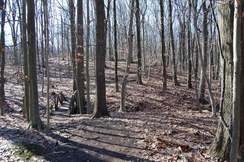 NYDEC Blue Trail connector to Greenbelt Blue Trail.