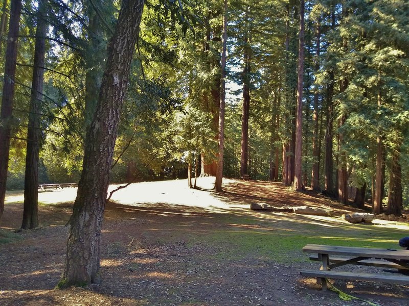 The spacious Bayview Youth Camps are spread out among the redwoods in the northwestern area of Mt. Madonna County Park.
