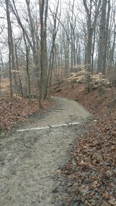 Top of the first hill.