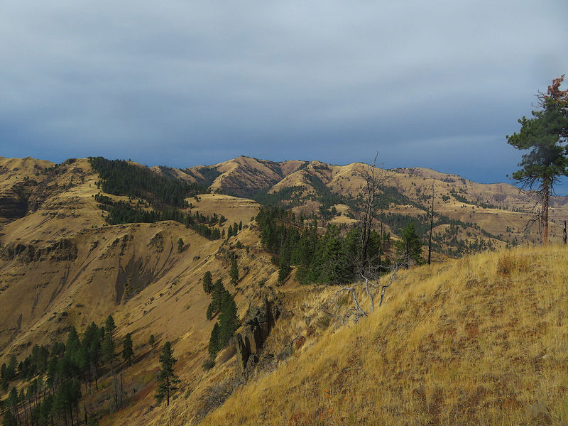 Looking towards the summit of Camp Howard.