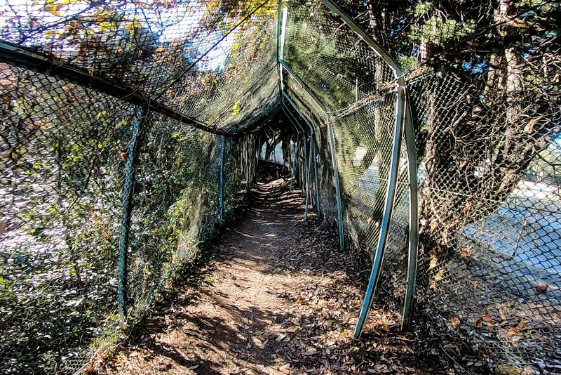 A tunnel to protect from stray golf balls.