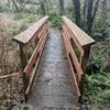 Bridge over Darlin Creek