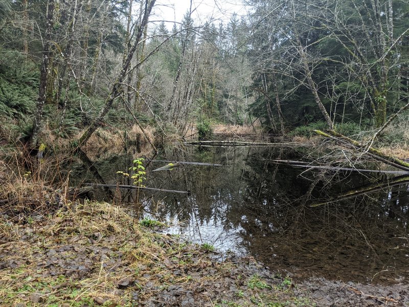 South Beaver Pond