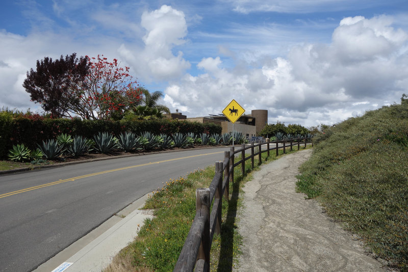 Del Mar Mesa Equestrian trail near the top of Del Mar Mesa Rd.