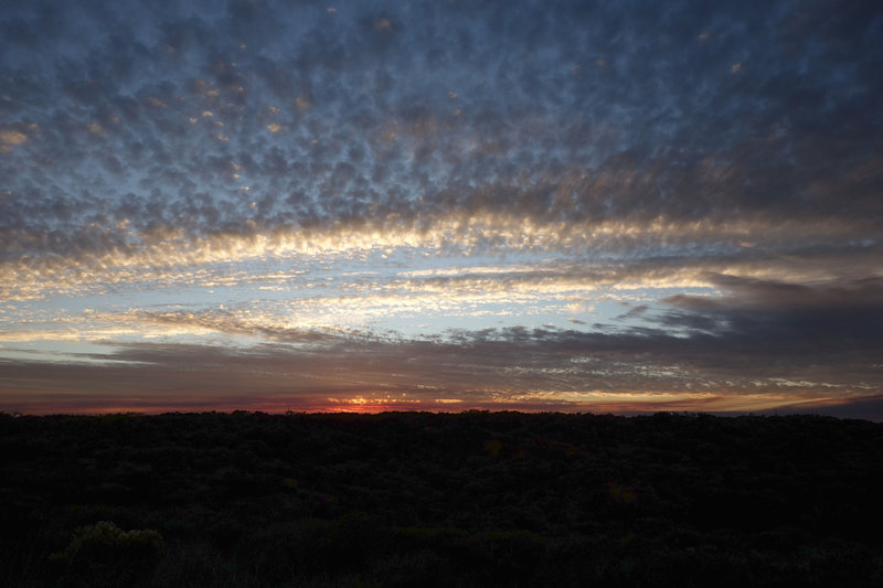 Sunset viewed from Carmel Mesa Preserve.