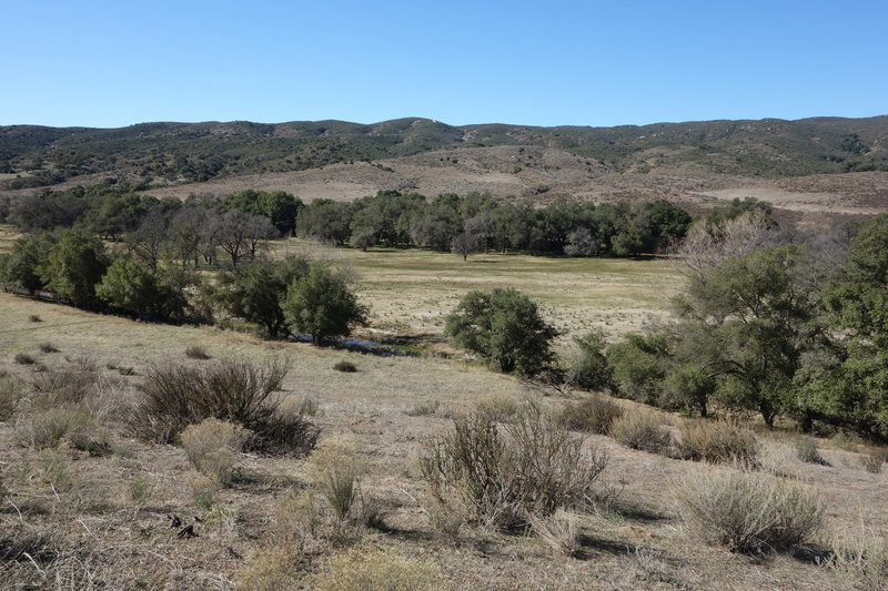 The San Dieguito river isn't much to look at.