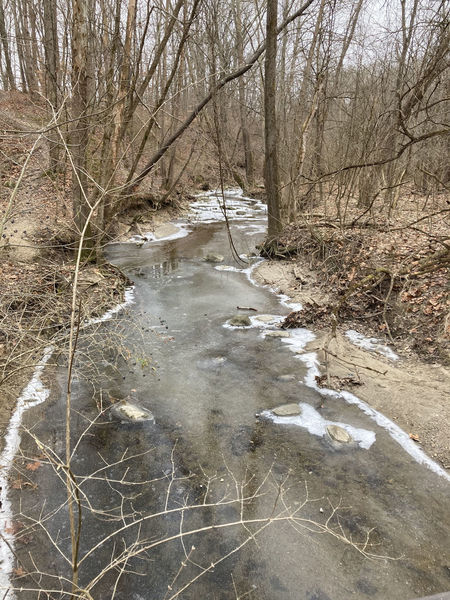 Spring Creek; partially ice-covered in the winter.