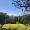 Summertime along the trail