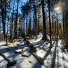 A typical January scene on the Tricorner Knob-Gunter Fork segment of the trail.