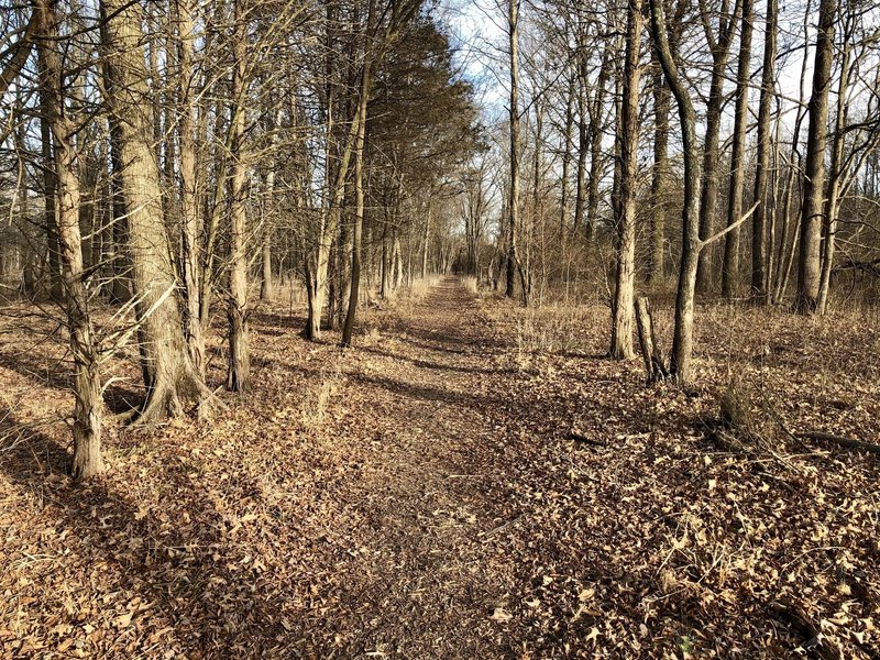 Beginning of trail just past park store.