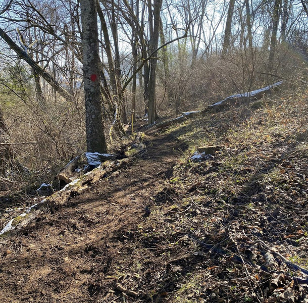 Singletrack portion of trailhead