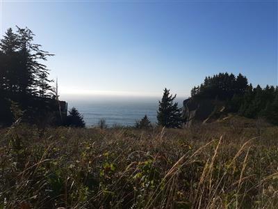 A wide grassy meadow overlooks the ocean.