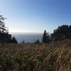 A wide grassy meadow overlooks the ocean.