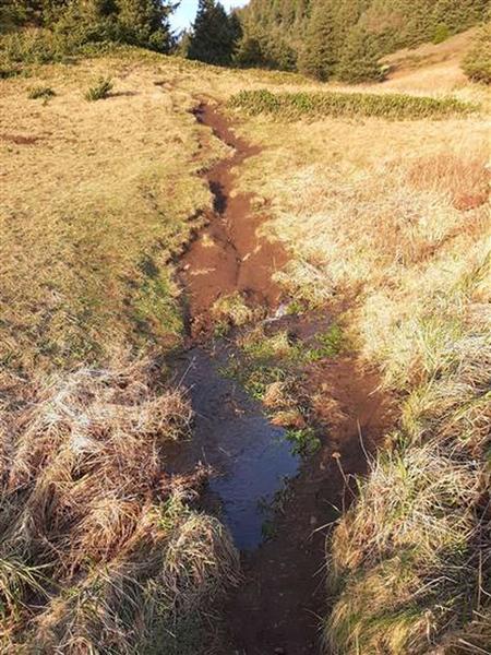 A muddy steep trail through a grassy meadow crosses a stream.