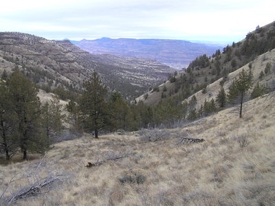 One ravine which can be used to access Sutton Mountain plateau.