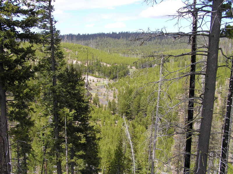 Headwaters of Desolation creek near North Twin Pillars trailhead.