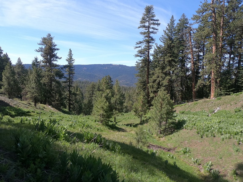 Lookout Mountain from Round Mountain Trail.