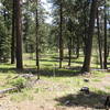 Parkland near beginning of southern section of Wildcat Trail.