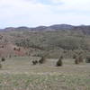 Spring Basin from alternate trail (trees in center of photo are Spring Basin). Horse Mounain is in upper right section of photo.