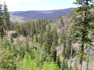 Mill Creek Wilderness from upper section of Belknap trail.