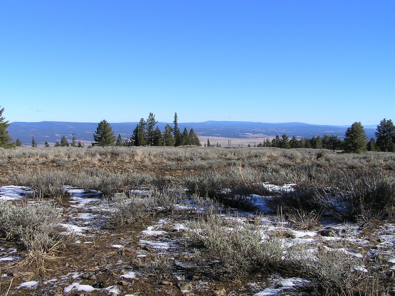 View east towards Big Summit Prairie.