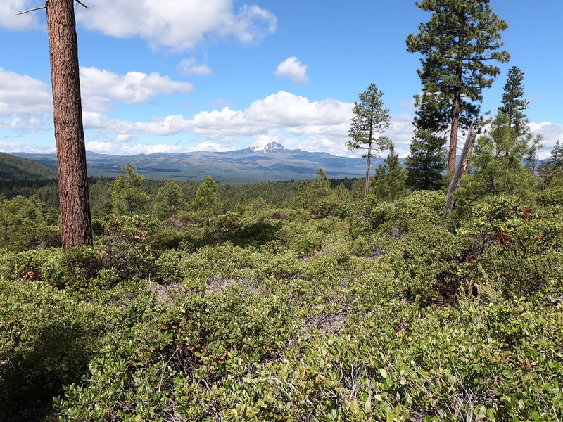 Mt. Washington from Green Ridge Trail