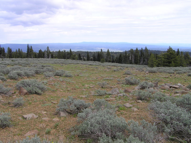 View east toward Big Summit Prairie