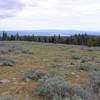 View east toward Big Summit Prairie