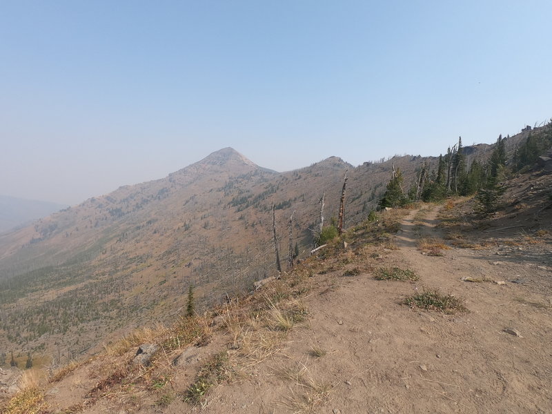 Strawberry Mountain from intersection of trail #201 (from Roads End trailhead) and Onion Creek trail (#368)