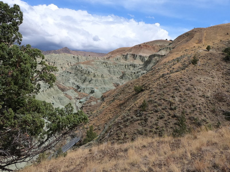 Near intersection of Island in Time trail