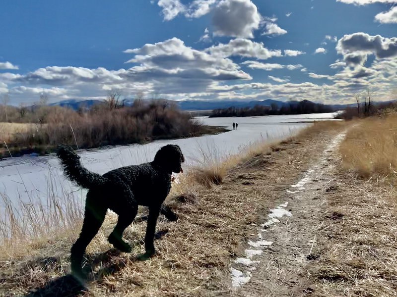 Winter trail access