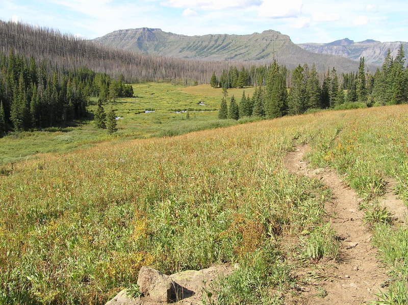 Skinny Fish Lake trail looking back towards Trapper Peak.