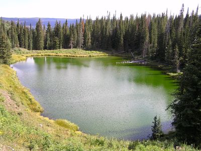 Shamrock Lake